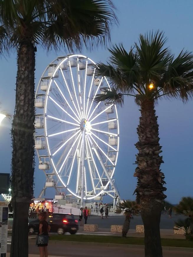 Gite Des Tamarins A Saint-Pierre La Mer Fleury  Εξωτερικό φωτογραφία